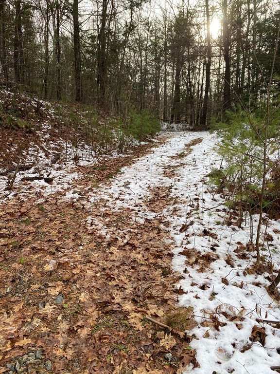 0 Wire Village Road Spencer, MA 01562 - Photo 3 of 16 Gallery Image 3