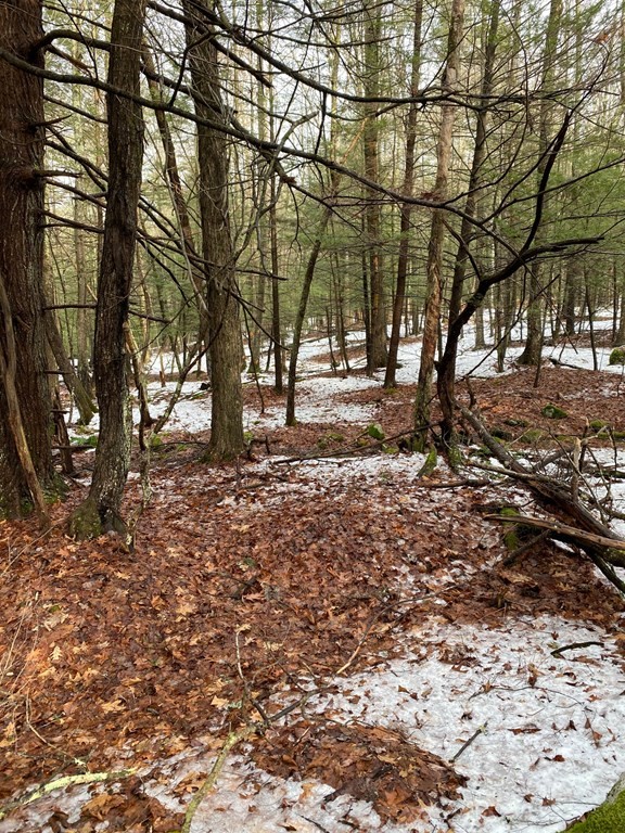 0 Wire Village Road Spencer, MA 01562 - Photo 6 of 16 Gallery Image 6