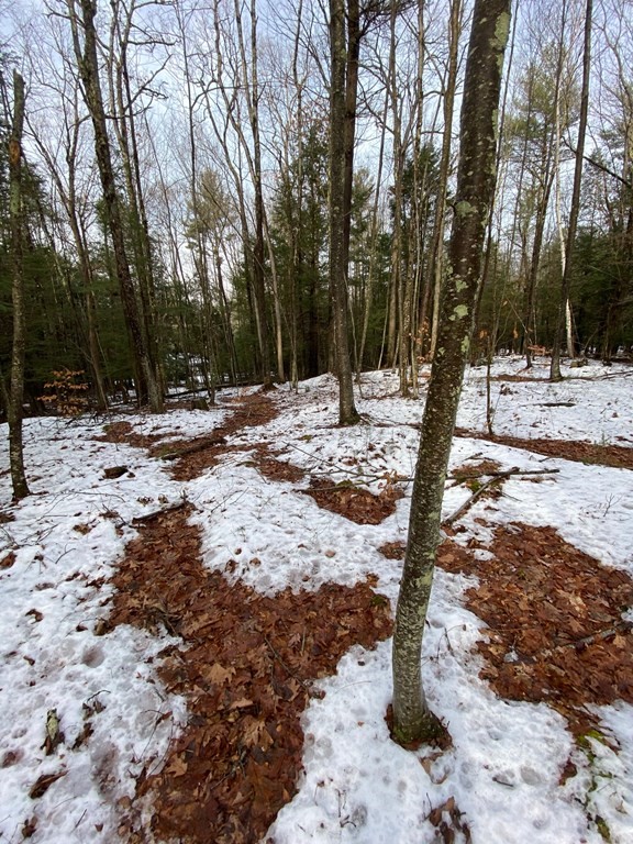 0 Wire Village Road Spencer, MA 01562 - Photo 9 of 16 Gallery Image 9