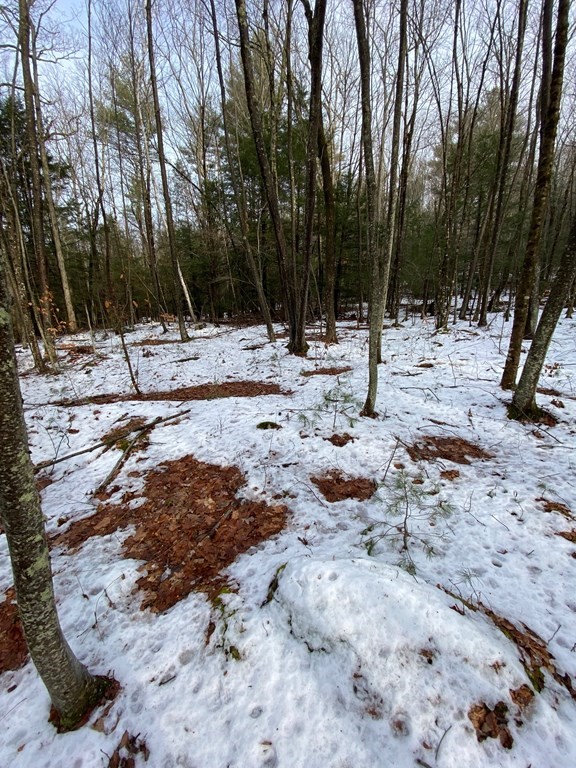 0 Wire Village Road Spencer, MA 01562 - Photo 10 of 16 Gallery Image 10