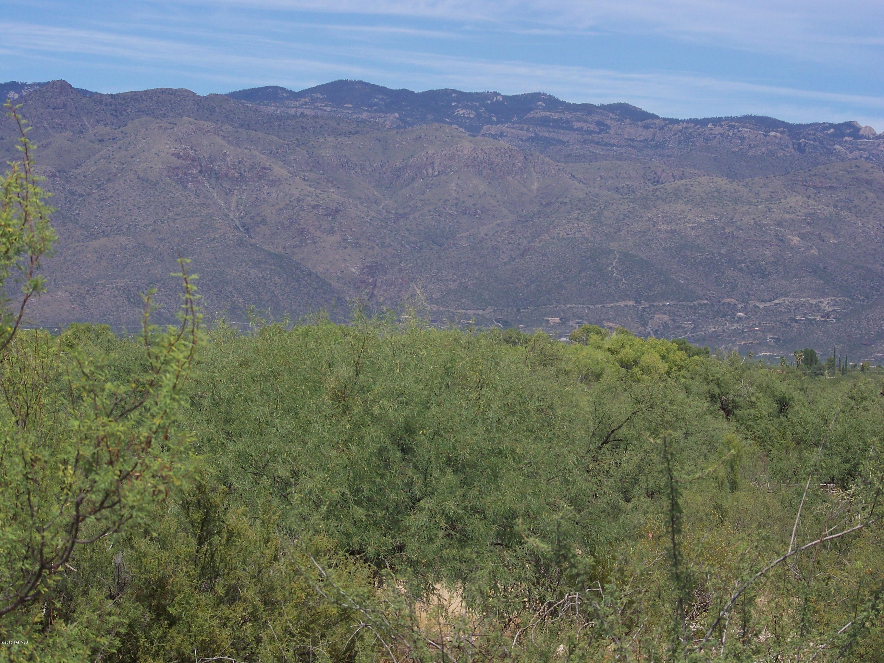 1326 North Tanque Verde Loop Road, Unit 1 Tucson, AZ 85749 - Photo 18 of 47