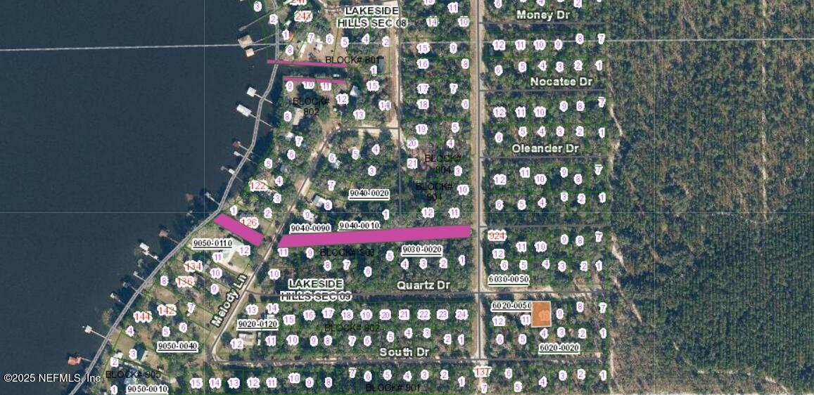 205 Quartz Drive Florahome, FL 32140 - Photo 4 of 4 a picture of flowers