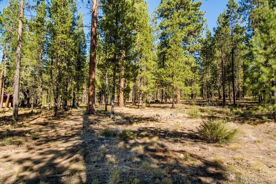 56167 Sable Rock Loop Bend, OR 97707 - Photo 4 of 4 Additional Photo