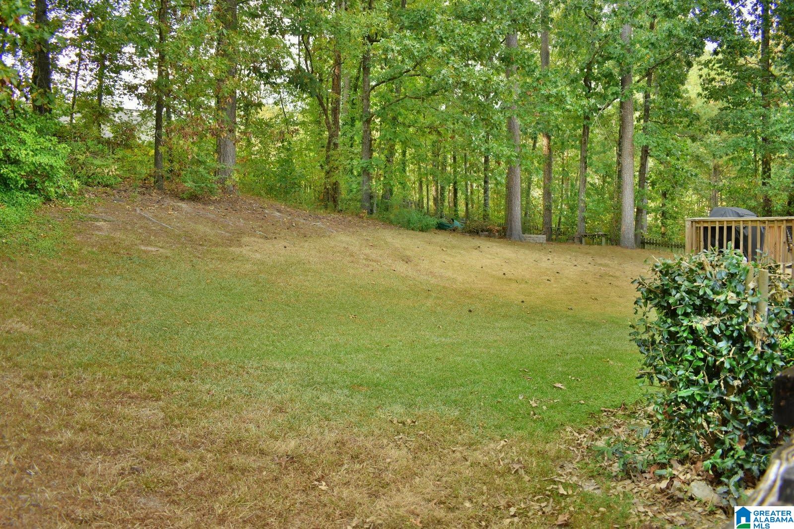 111 Grande View Circle Alabaster, AL 35114 - Photo 35 of 38