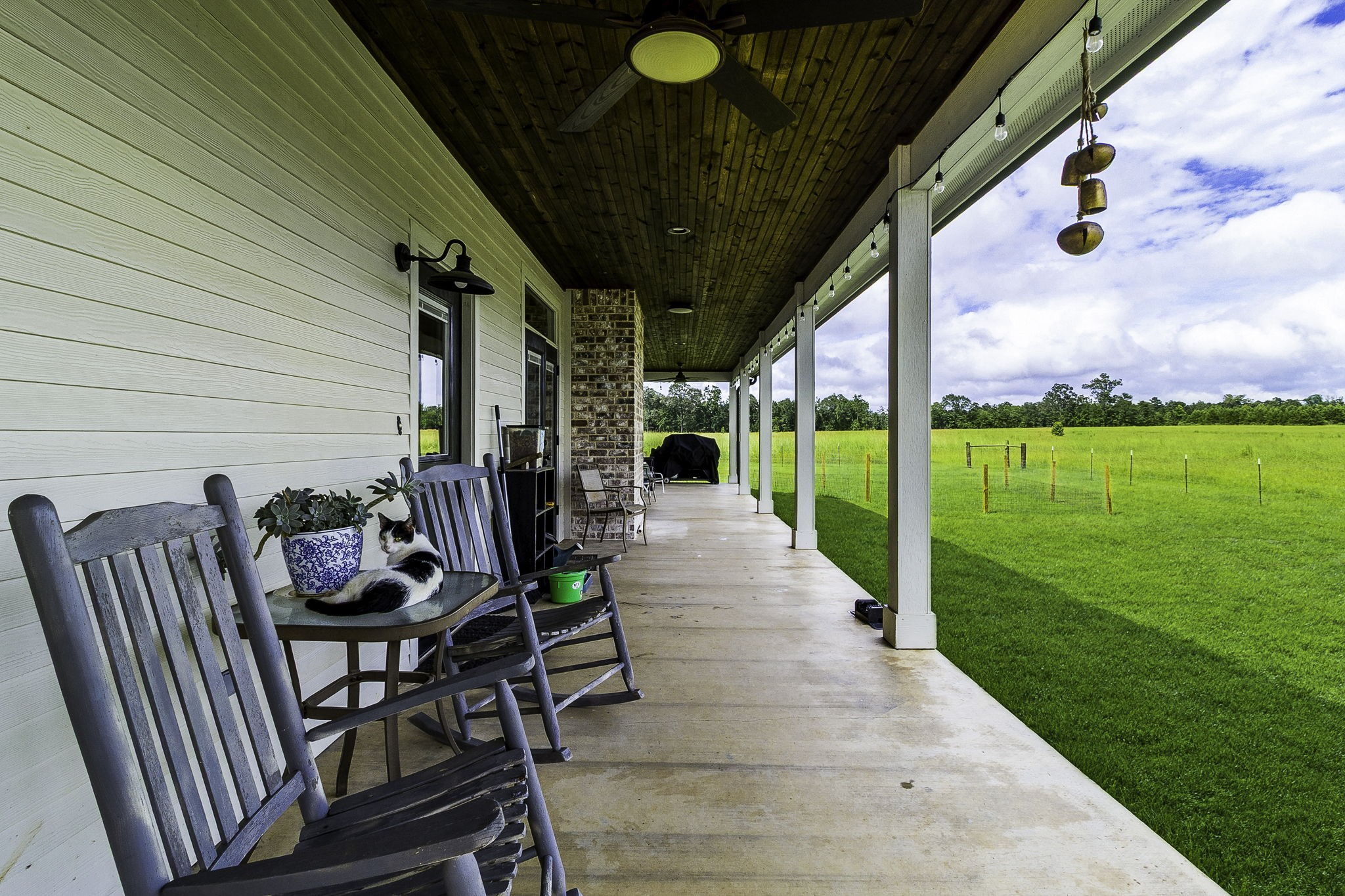 2654 Darden Road Livingston, TX 77351 - Photo 37 of 50