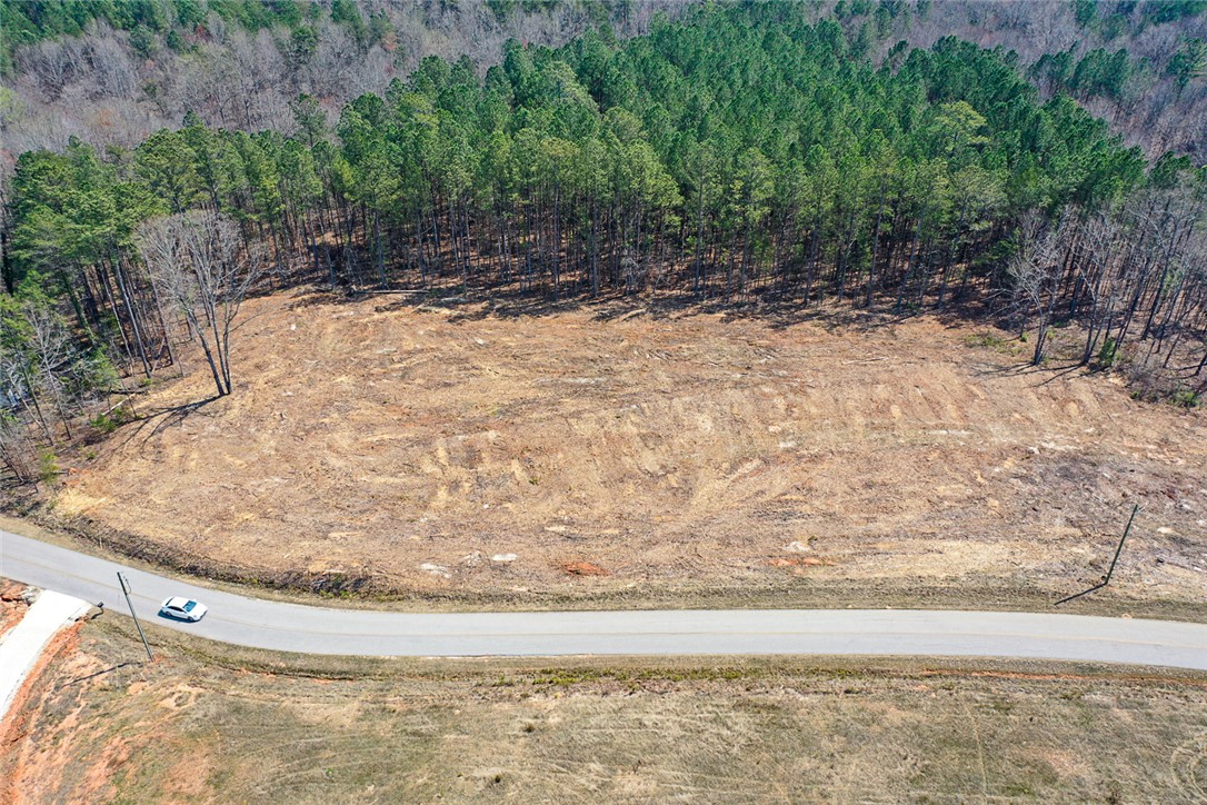 0 Nectarine Circle Walhalla, SC 29691 - Photo 3 of 4
