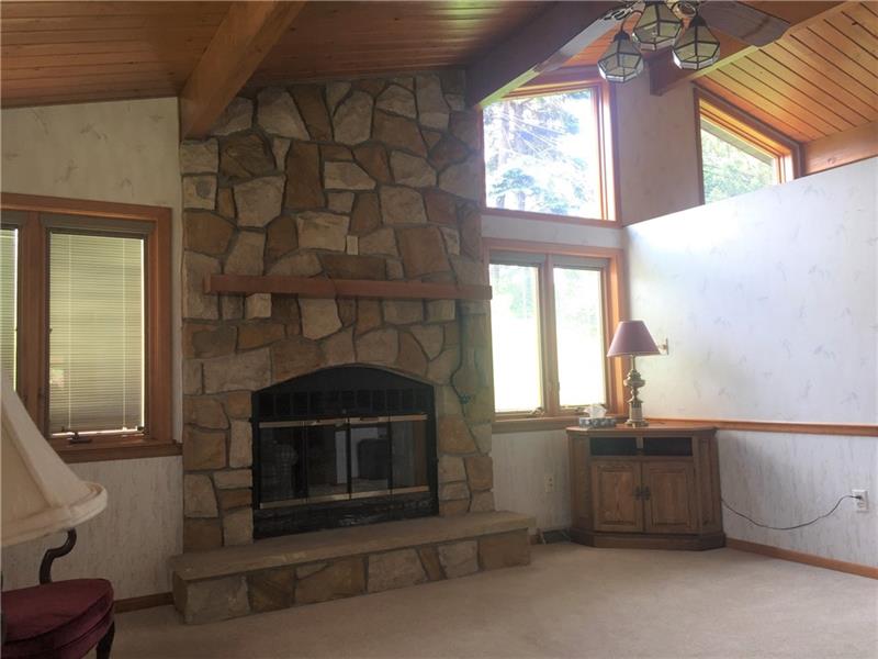 224 Orchard Spring Road Pittsburgh, PA 15220 - Photo 3 of 16 Awesome family room with fireplace