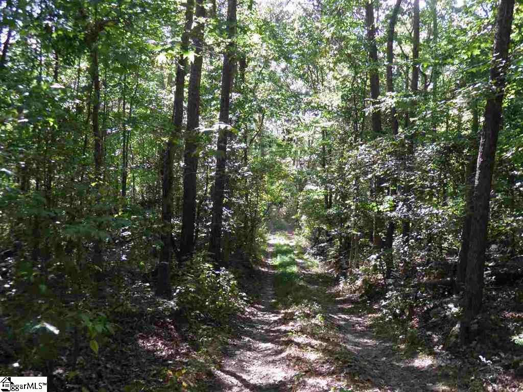 0 North Fish Trap Road Easley, SC 29640 - Photo 6 of 16 Gallery Image 6