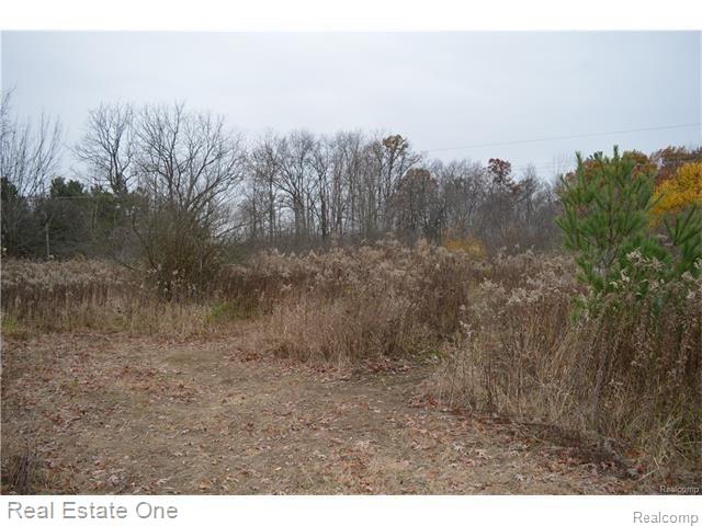 Par B Musson Road Howell, MI 48855 - Photo 4 of 28