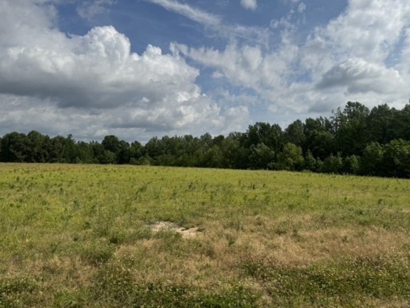 0 Cal Durham Road Bethpage, TN 37022 - Photo 23 of 28