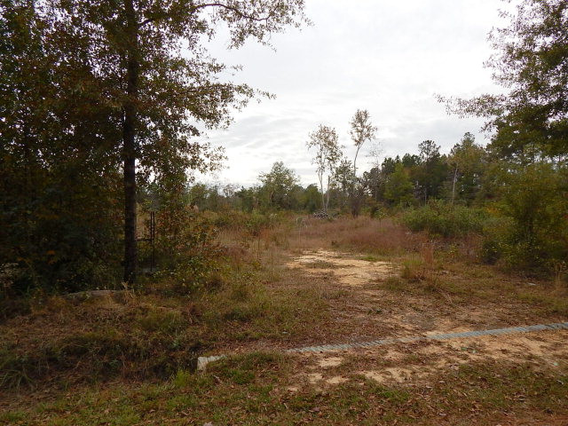 X X Martin Road Angie, LA 70426 - Photo 1 of 1 Main View