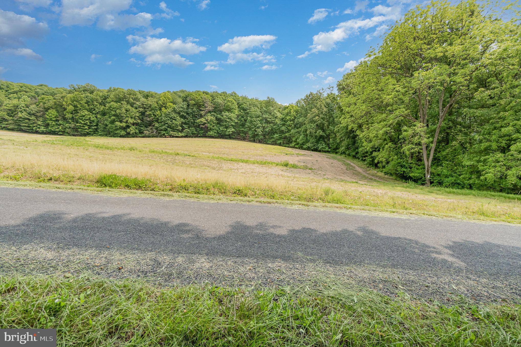 0 Kline Hollow Road Liverpool, PA 17045 - Photo 1 of 8 Gallery Image 1