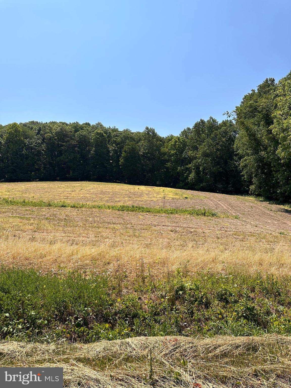 0 Kline Hollow Road Liverpool, PA 17045 - Photo 3 of 8 Gallery Image 3