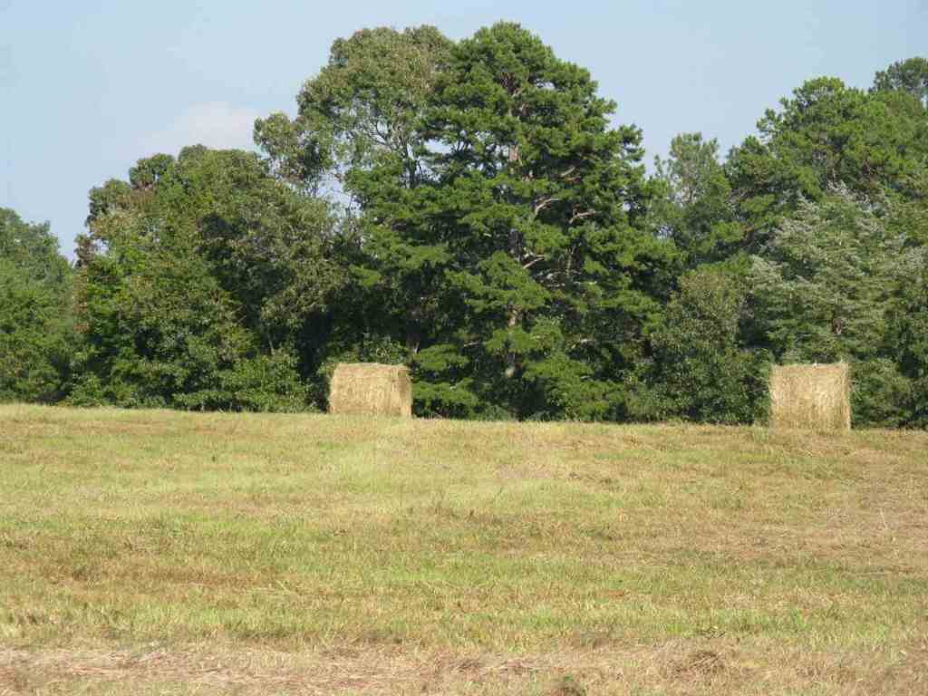 200 Tiny Tiller Road Iva, SC 29655 - Photo 29 of 33