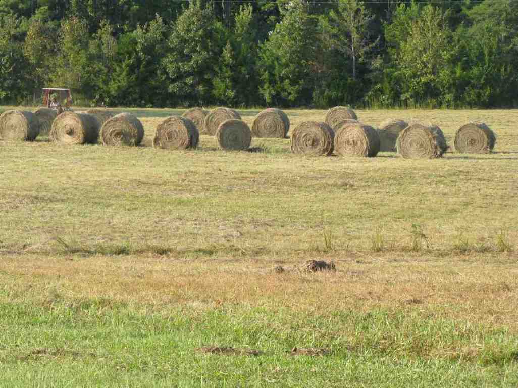 200 Tiny Tiller Road Iva, SC 29655 - Photo 31 of 33