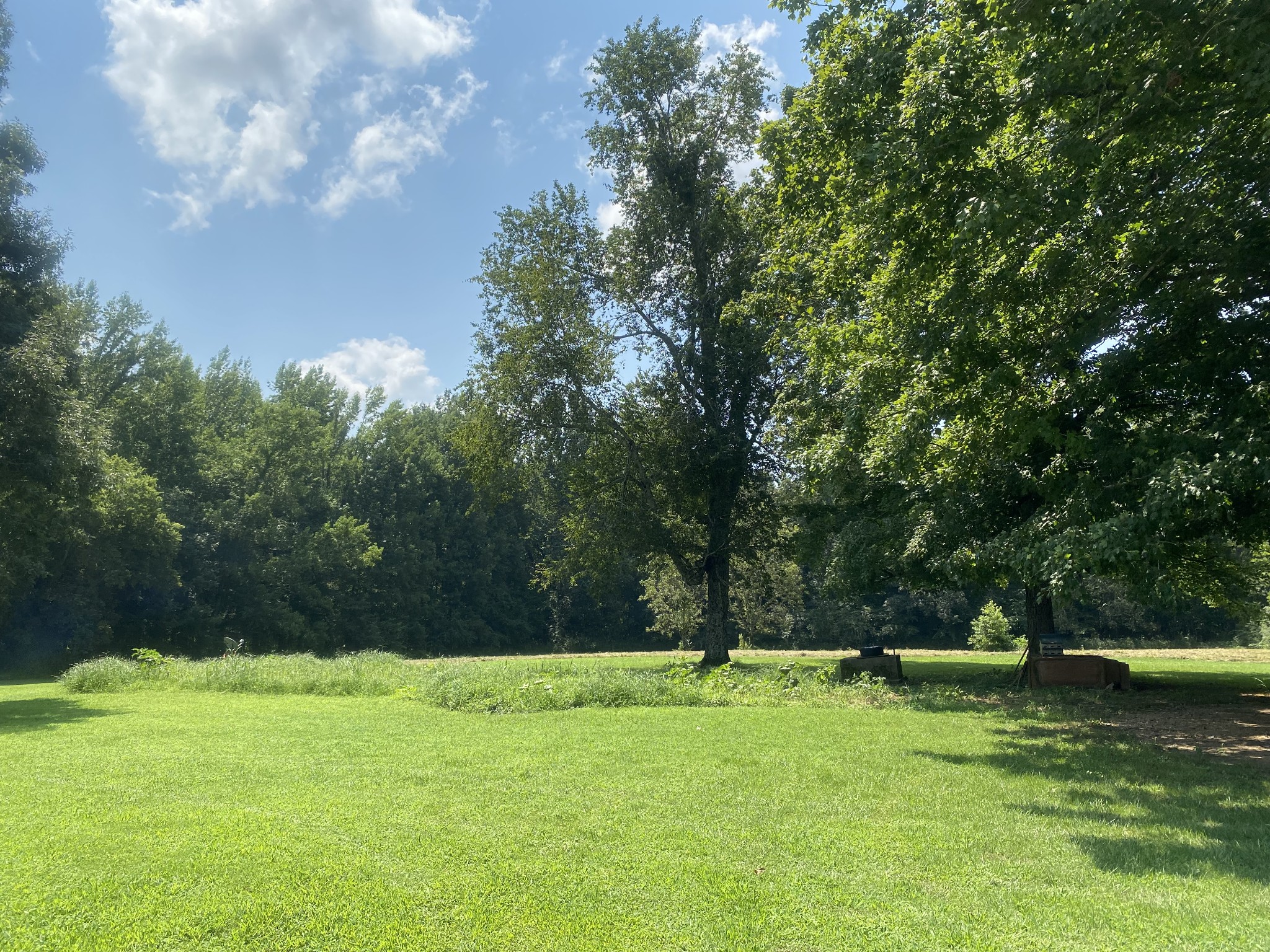 82 Elliot Road Ardmore, TN 38449 - Photo 1 of 18 a view of a yard