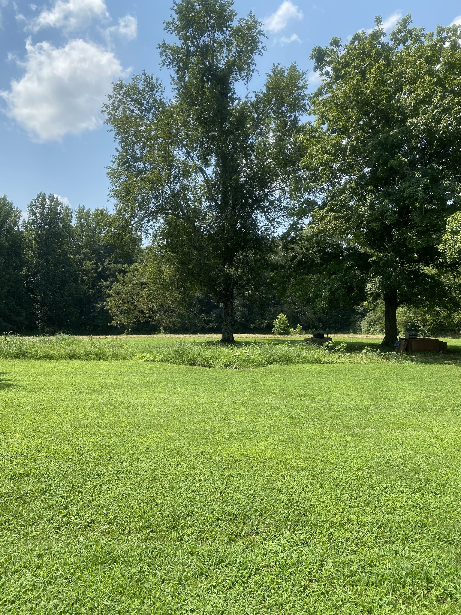 82 Elliot Road Ardmore, TN 38449 - Photo 12 of 18 a view of outdoor space with deck and yard