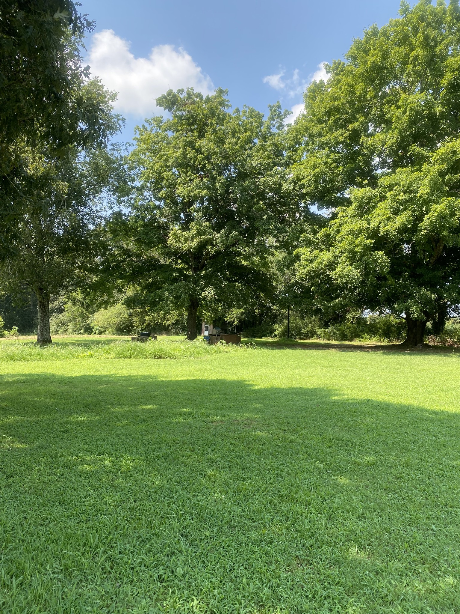 82 Elliot Road Ardmore, TN 38449 - Photo 13 of 18 a view of a green yard
