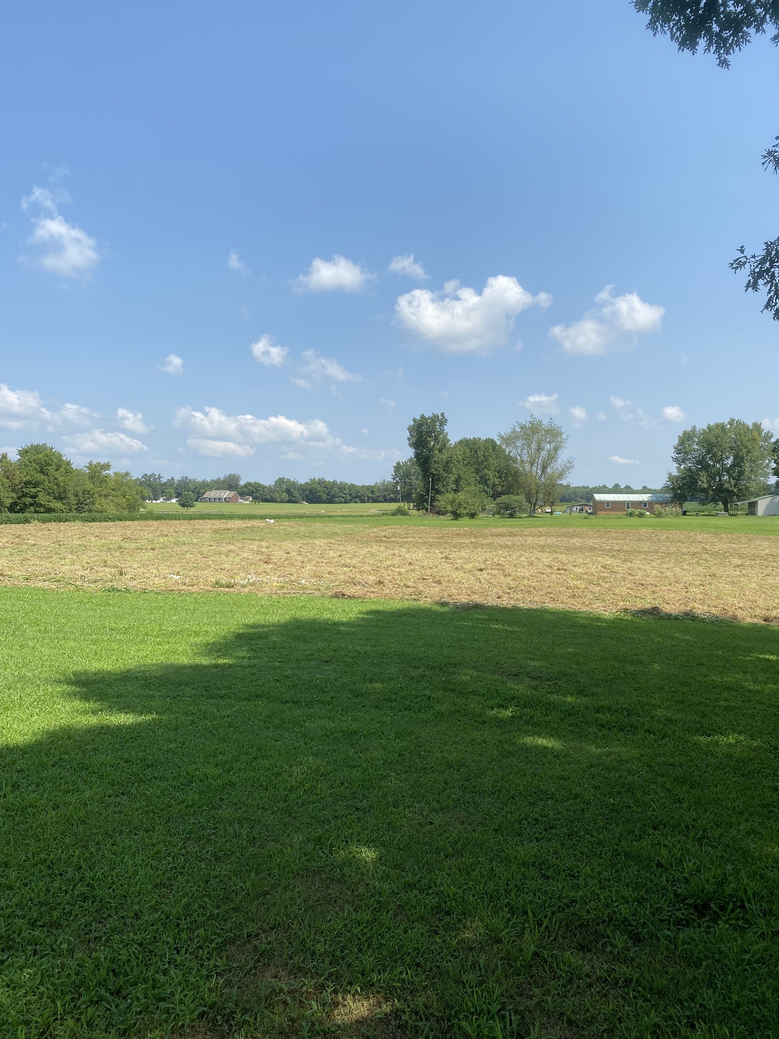 82 Elliot Road Ardmore, TN 38449 - Photo 14 of 18 a view of an ocean and a yard