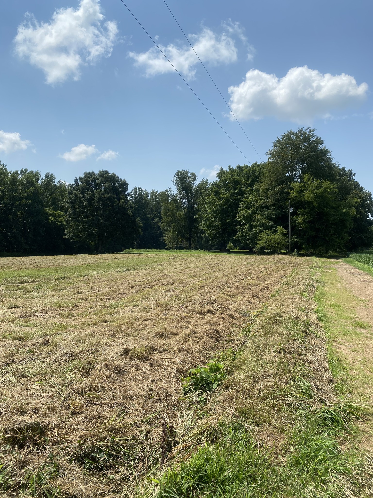 82 Elliot Road Ardmore, TN 38449 - Photo 15 of 18 a view of a lake view