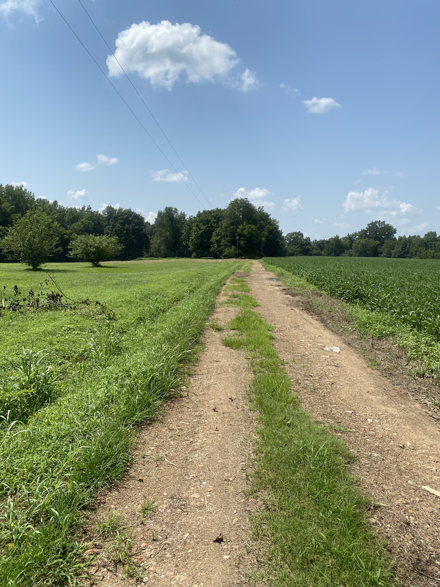 82 Elliot Road Ardmore, TN 38449 - Photo 16 of 18 a view of yard with ocean view