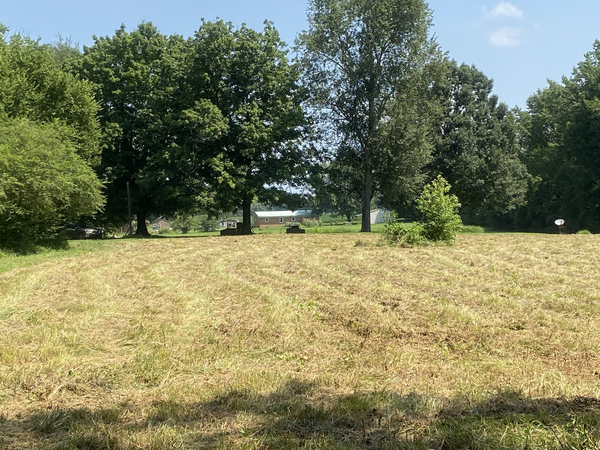82 Elliot Road Ardmore, TN 38449 - Photo 3 of 18 a view of outdoor space with a garden