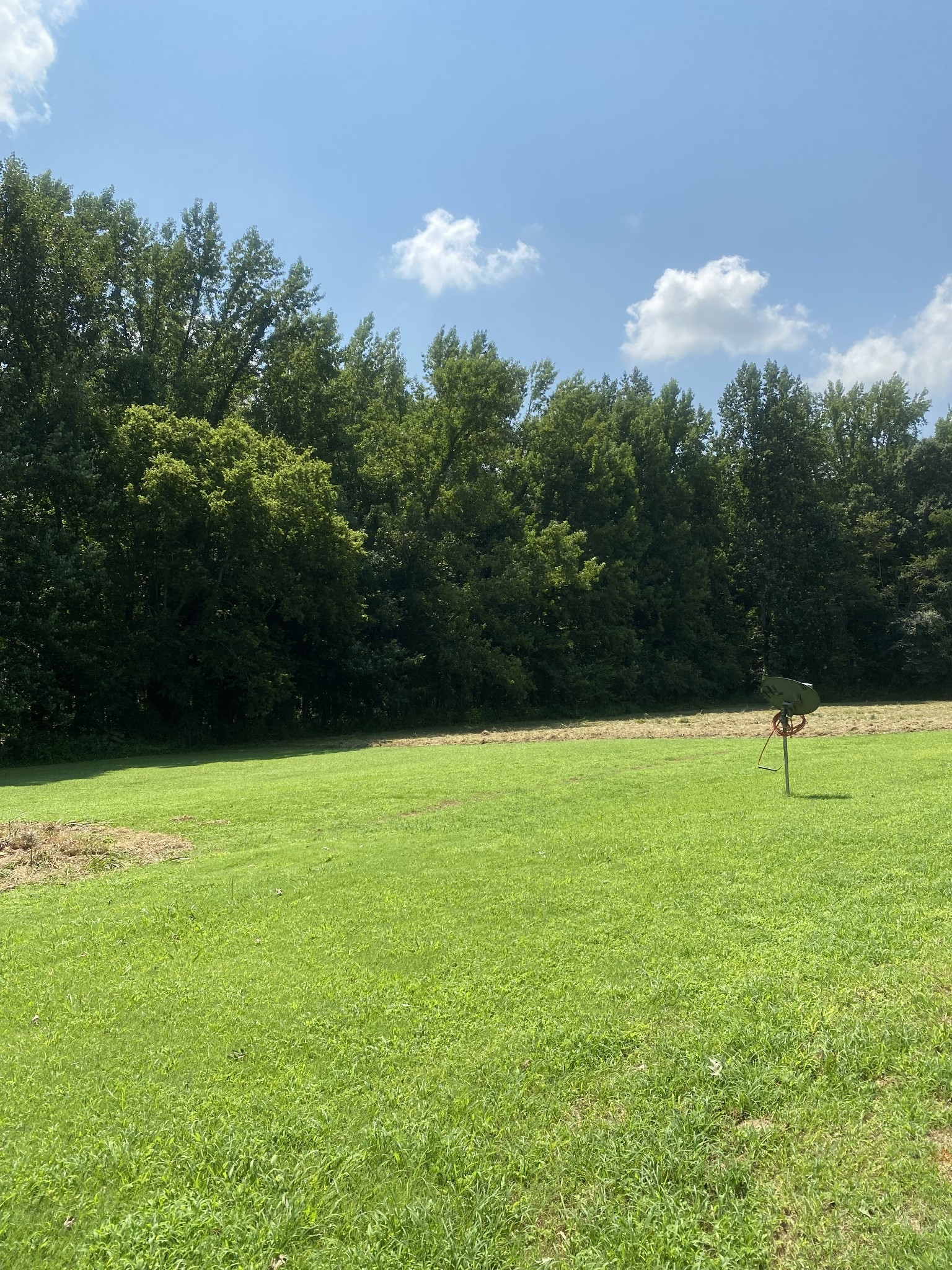 82 Elliot Road Ardmore, TN 38449 - Photo 5 of 18 a backyard of a house with lots of green space