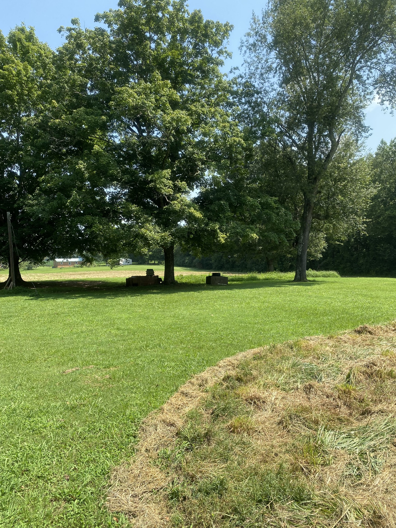 82 Elliot Road Ardmore, TN 38449 - Photo 6 of 18 a view of a field of grass and trees