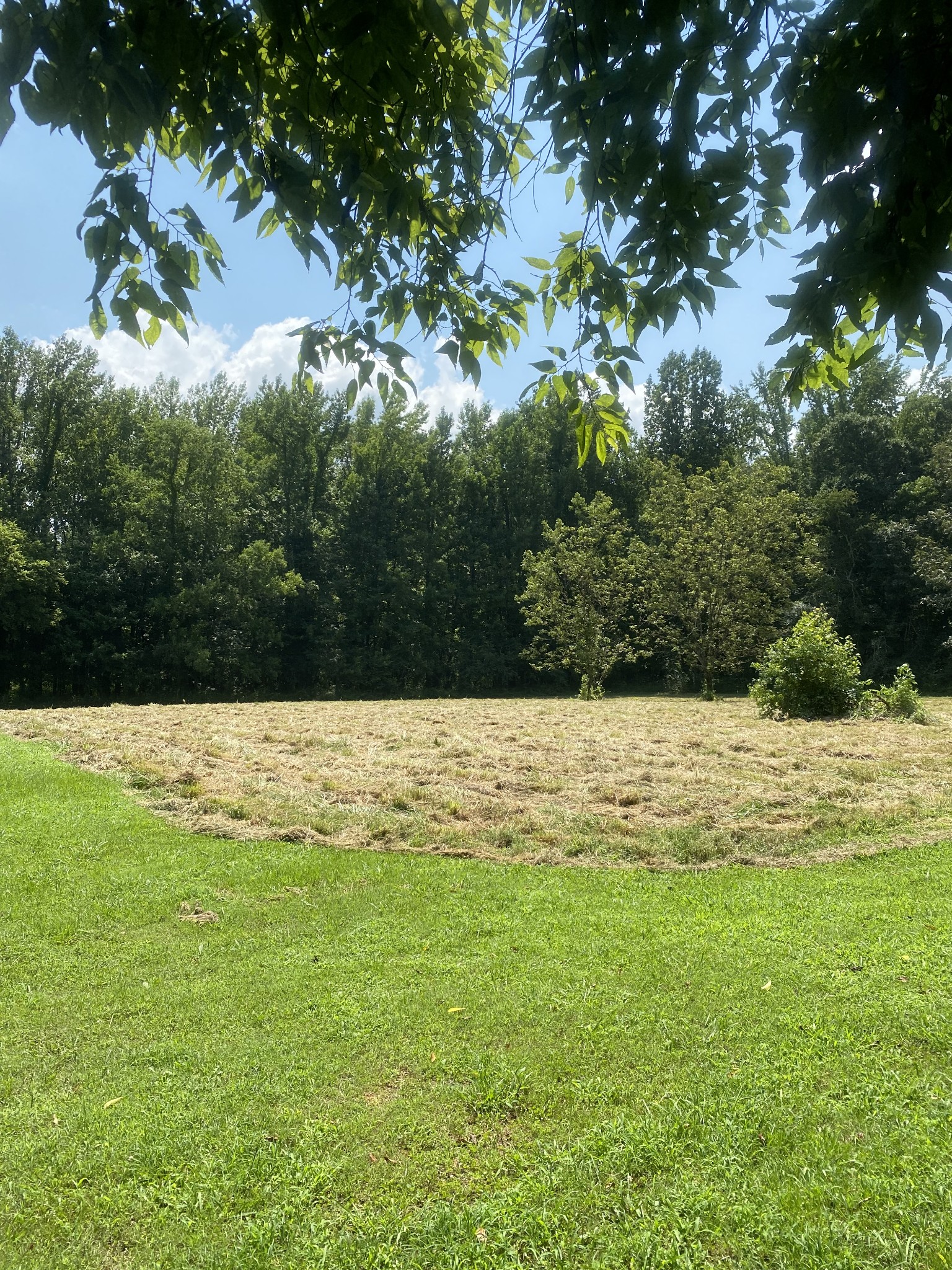 82 Elliot Road Ardmore, TN 38449 - Photo 10 of 18 a view of outdoor space