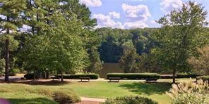 540 White Ridge Trace Northeast Lawrenceville, GA 30043 - Photo 51 of 65