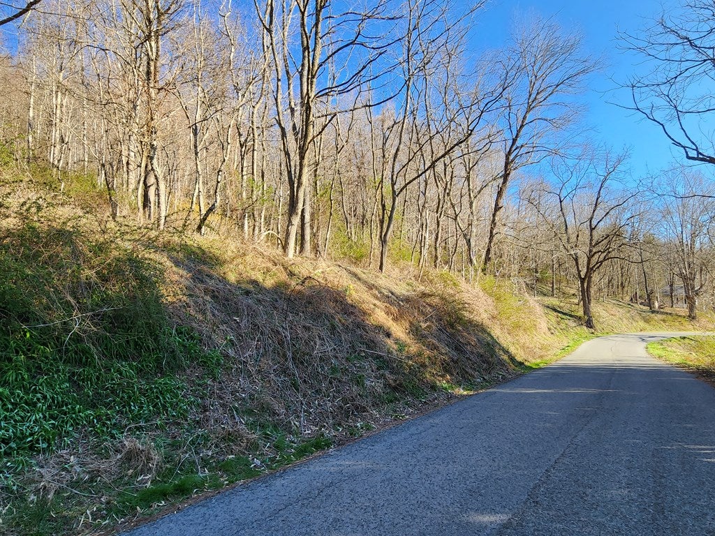 465 Rosenbaum Road, Unit 32 Bluefield, VA 24605 - Photo 21 of 23 Gallery Image 21