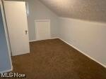 15321 Ridpath Avenue Cleveland, OH 44110 - Photo 10 of 10 Bonus room featuring vaulted ceiling and dark colored carpet