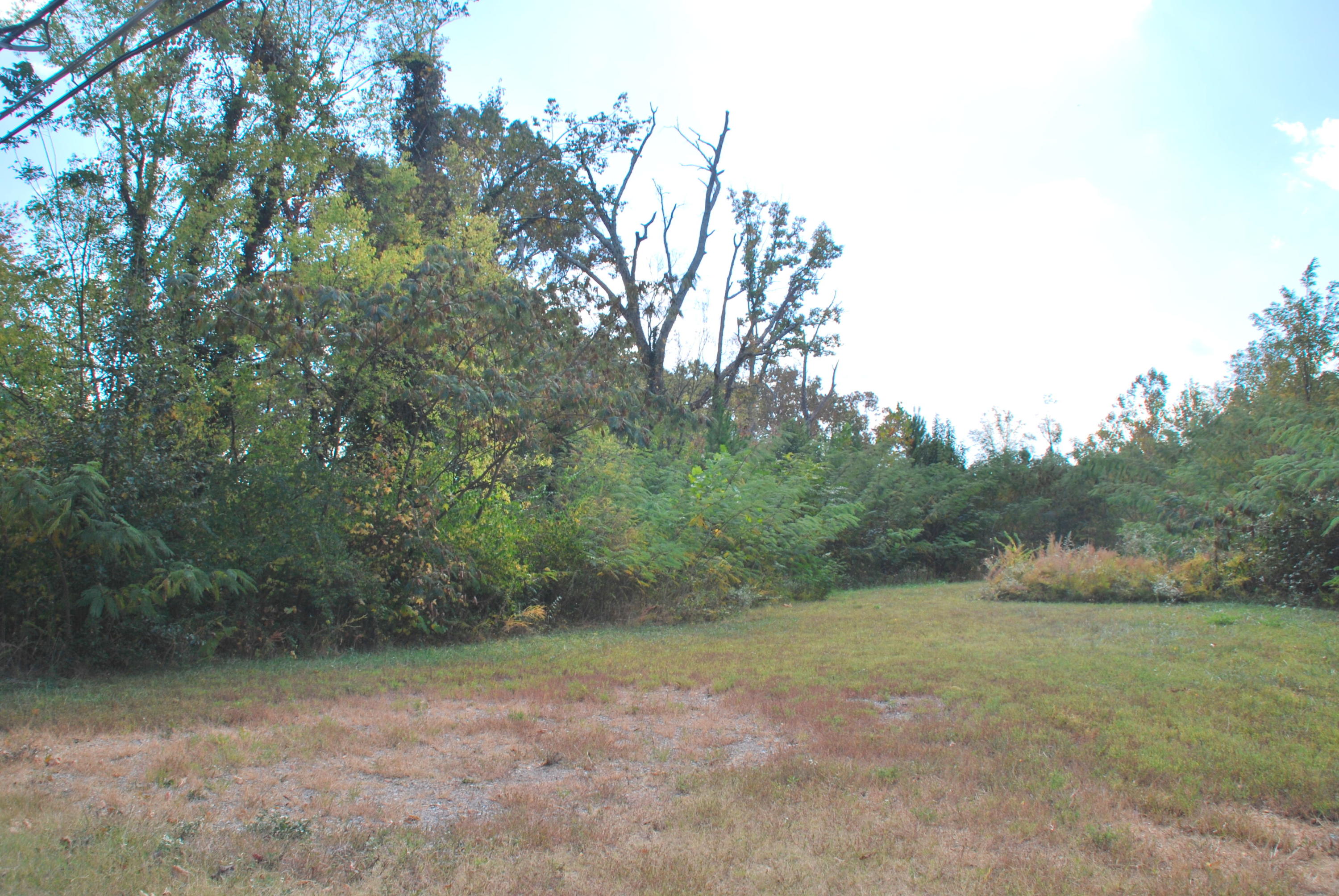1819 Amherst Road Knoxville, TN 37909 - Photo 1 of 3 DSC_0661