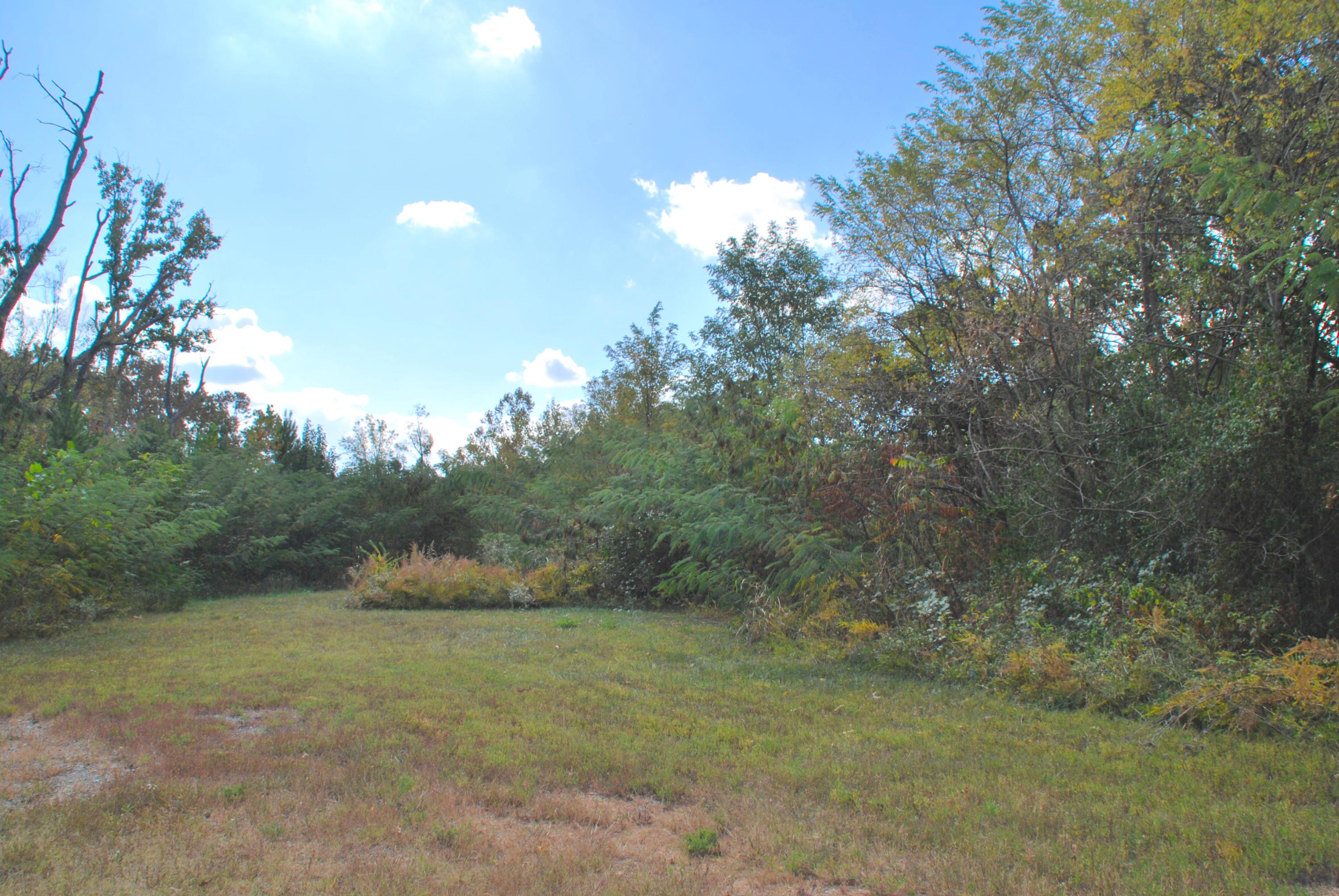 1819 Amherst Road Knoxville, TN 37909 - Photo 2 of 3 DSC_0662