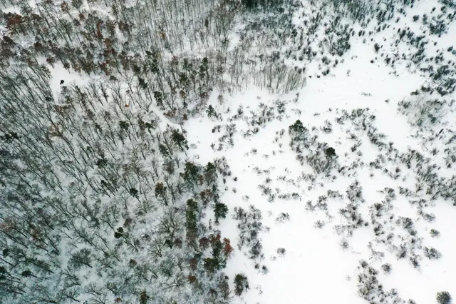 $250,000 | 0 County Road 30, Staples, MN 56479