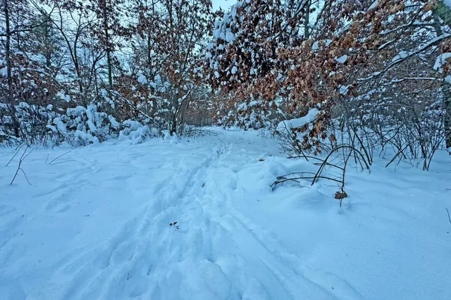 $250,000 | 0 County Road 30, Staples, MN 56479