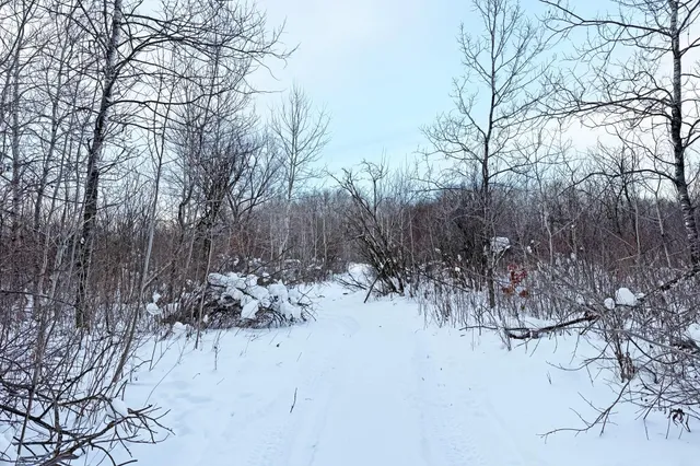 $250,000 | 0 County Road 30, Staples, MN 56479