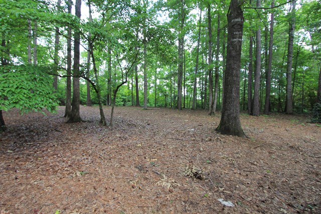 635 Grant Road Cataula, GA 31804 - Photo 14 of 16 Gallery Image 14