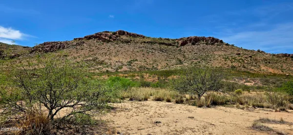a view of a dry yard