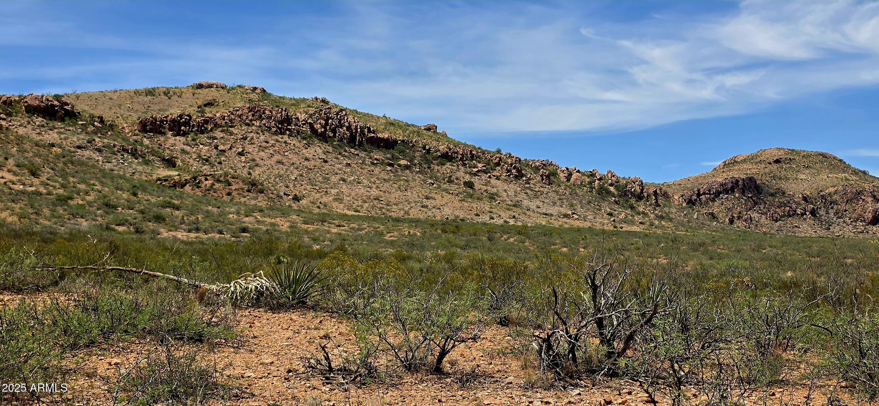 N North Bruno Road Douglas, AZ 85607 - Photo 3 of 9 TBD North Bruno Road