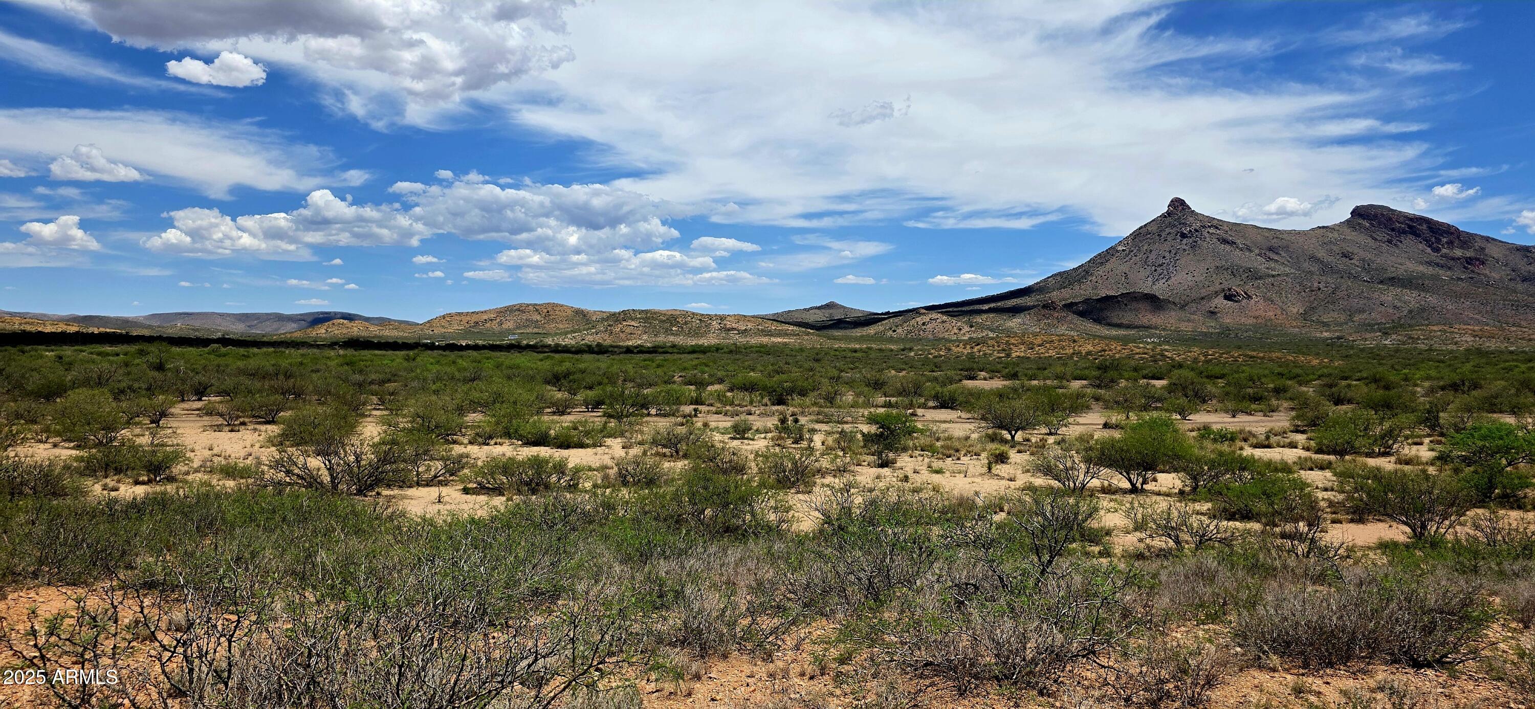 N North Bruno Road Douglas, AZ 85607 - Photo 7 of 9 TBD North Bruno Road