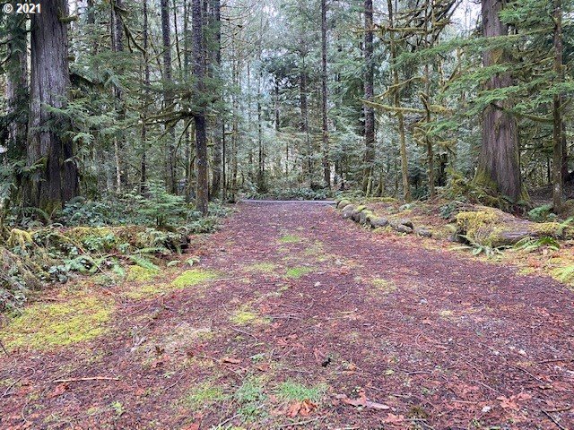 22985 East Autumn Lane Rhododendron, OR 97049 - Photo 1 of 13 Gallery Image 1
