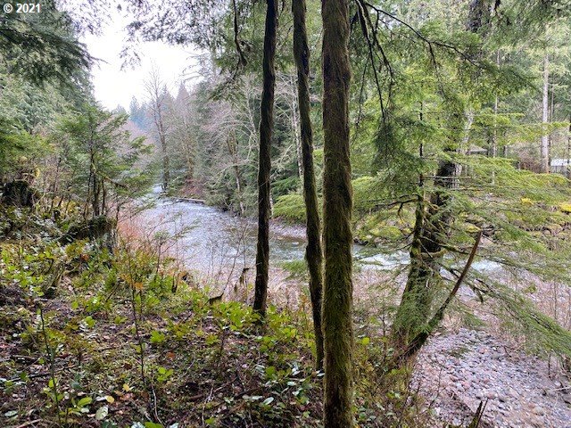 22985 East Autumn Lane Rhododendron, OR 97049 - Photo 2 of 13 Gallery Image 2