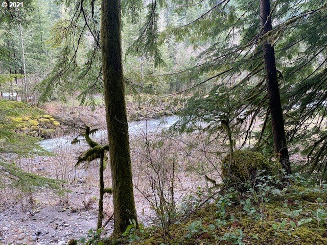 22985 East Autumn Lane Rhododendron, OR 97049 - Photo 11 of 13 Gallery Image 11