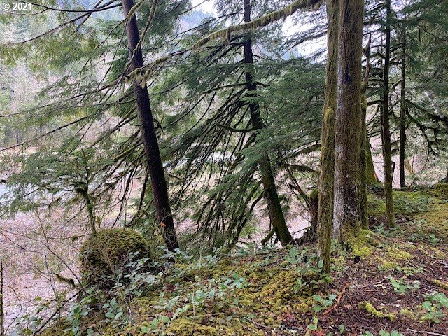 22985 East Autumn Lane Rhododendron, OR 97049 - Photo 12 of 13 Gallery Image 12