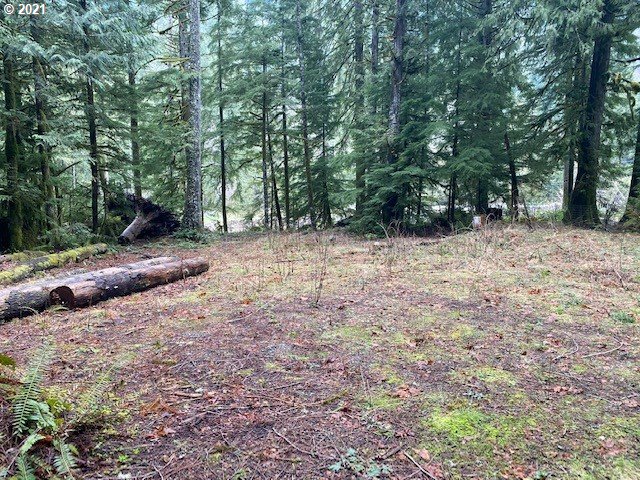 22985 East Autumn Lane Rhododendron, OR 97049 - Photo 13 of 13 Gallery Image 13
