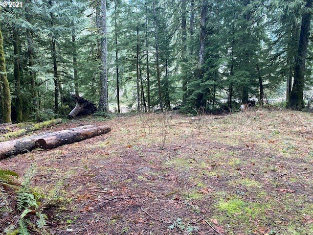22985 East Autumn Lane Rhododendron, OR 97049 - Photo 3 of 13 Gallery Image 3