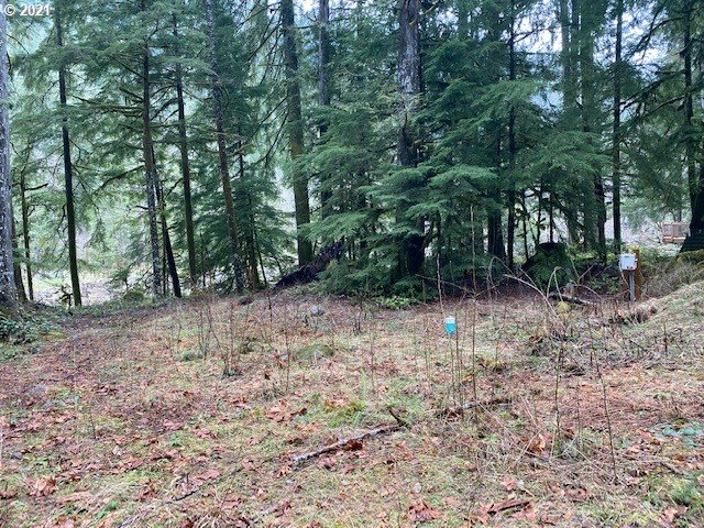 22985 East Autumn Lane Rhododendron, OR 97049 - Photo 5 of 13 Gallery Image 5