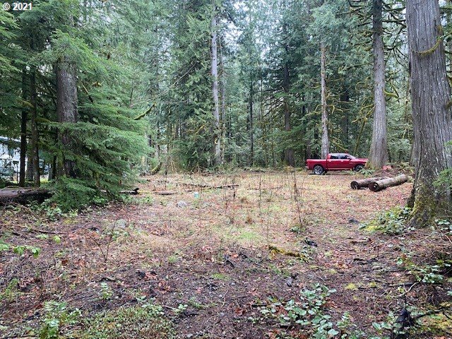 22985 East Autumn Lane Rhododendron, OR 97049 - Photo 6 of 13 Gallery Image 6