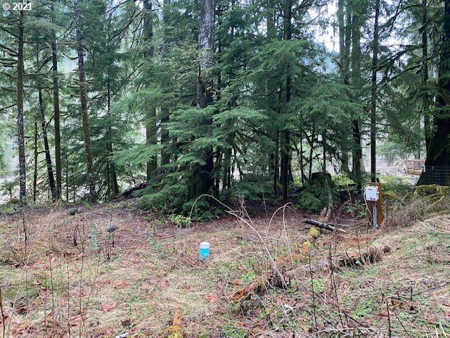 22985 East Autumn Lane Rhododendron, OR 97049 - Photo 9 of 13 Gallery Image 9